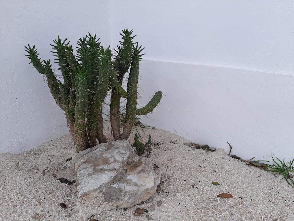 Monte Vale Manhas By Hi Alentejo *